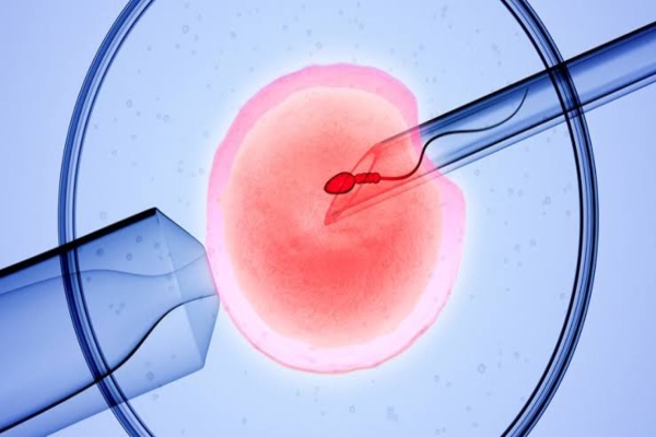 ivf pregnancy symptoms