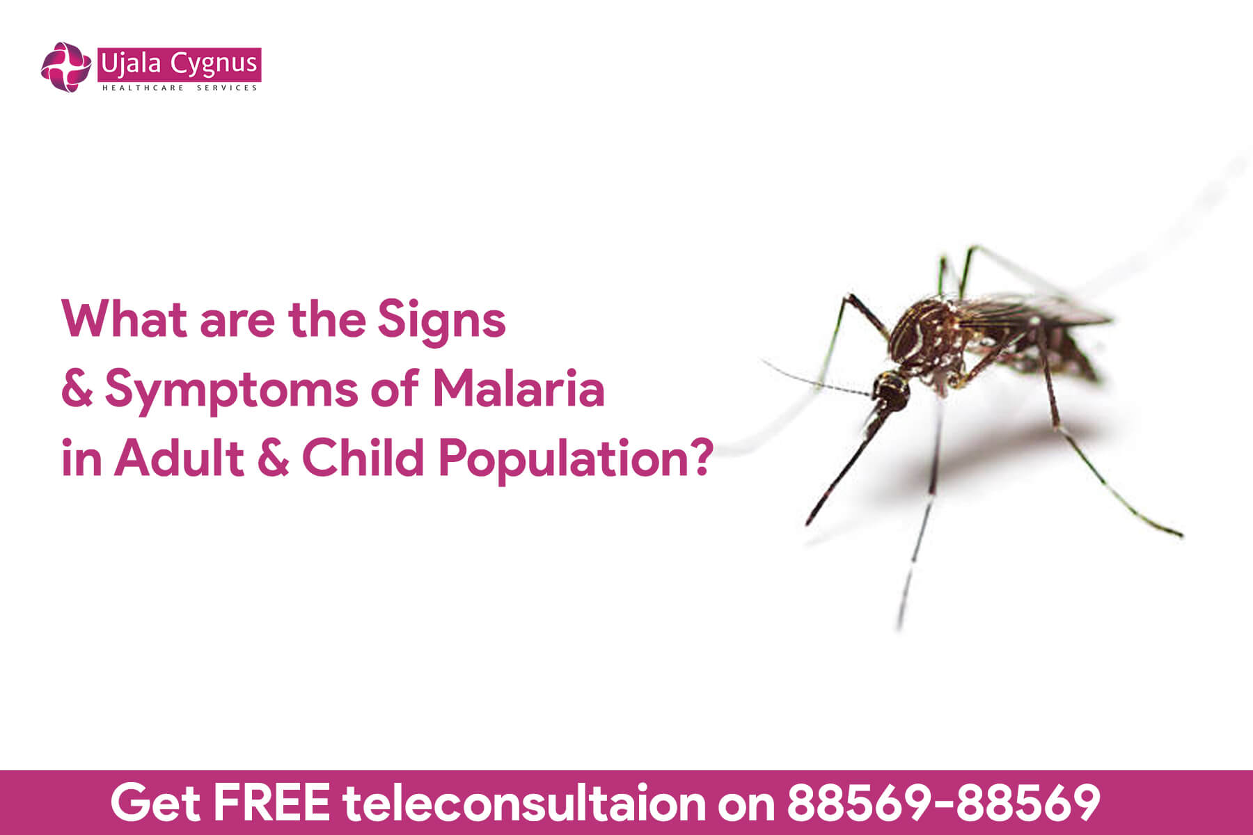 What are the Signs & Symptoms of Malaria in Adult & Child Population