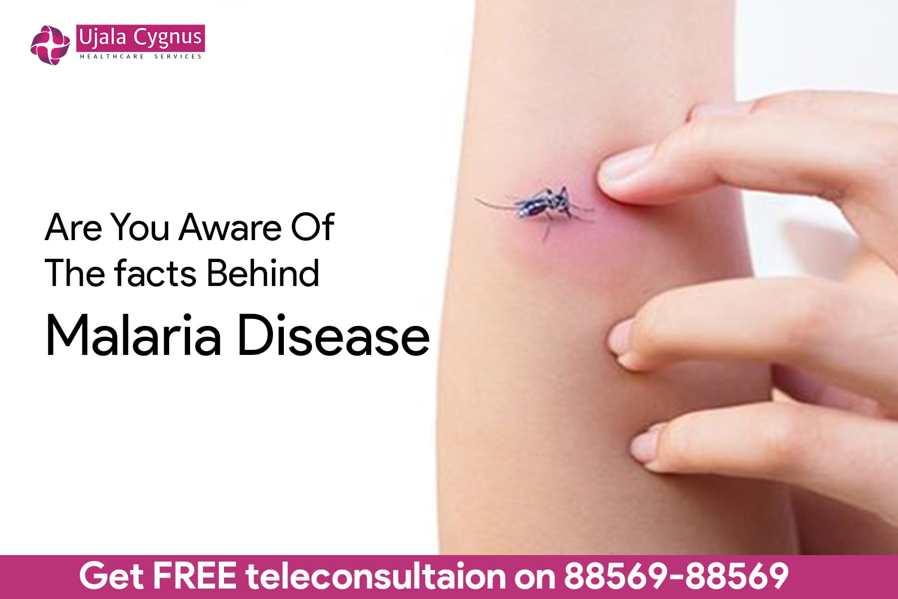 What do you Know about Malaria disease Its Causes & Treatment