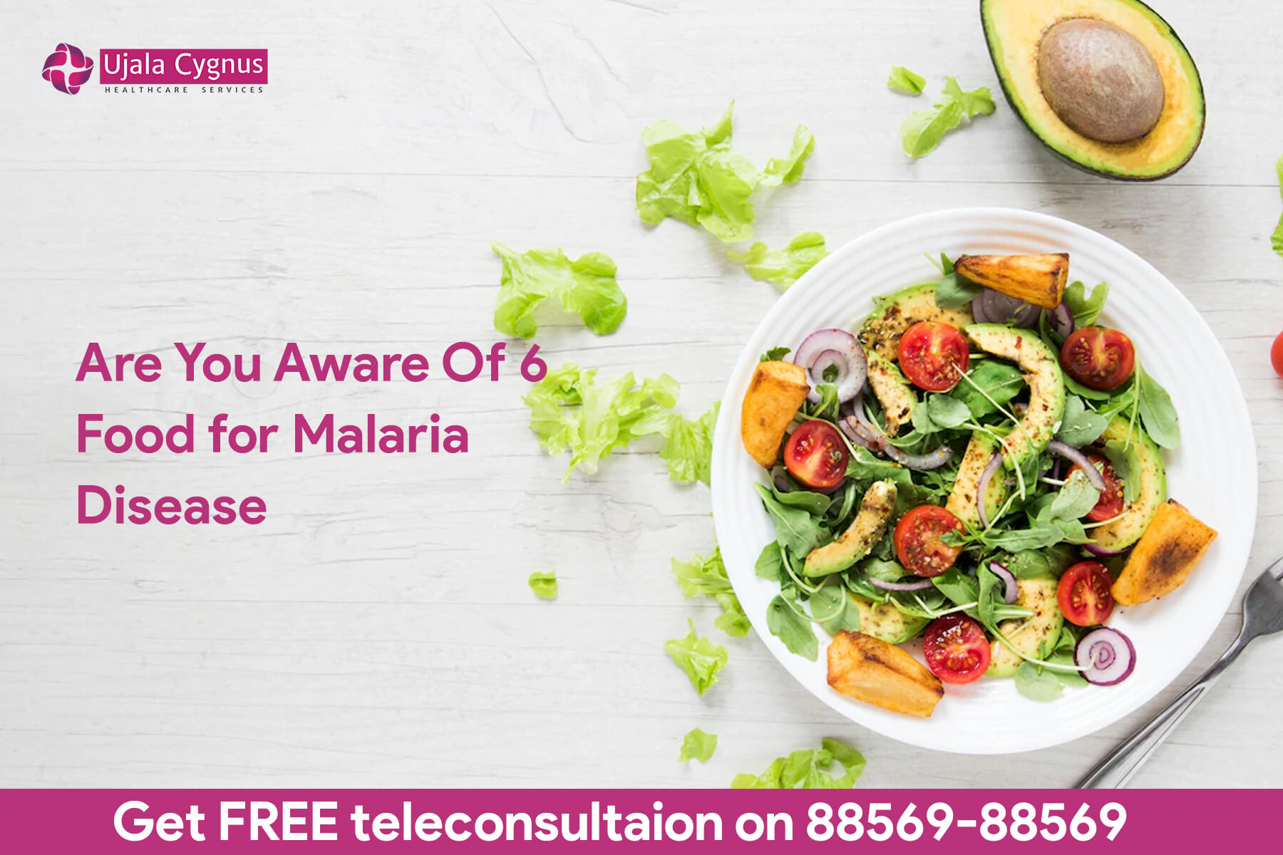 What are the 6 Foods For Malaria that can Help Combat Malaria Disease?